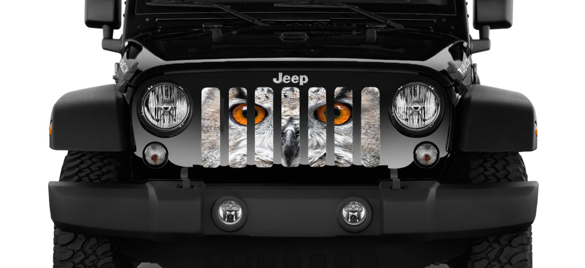 Night Owl Grille Insert