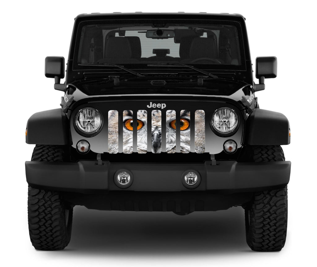 Night Owl Grille Insert