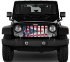 Ohio Grunge State Flag Grille Insert