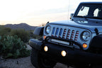 Old Glory Grille Insert