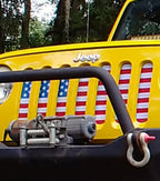 Old Glory Grille Insert