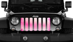 Pink Ombre Grille Insert