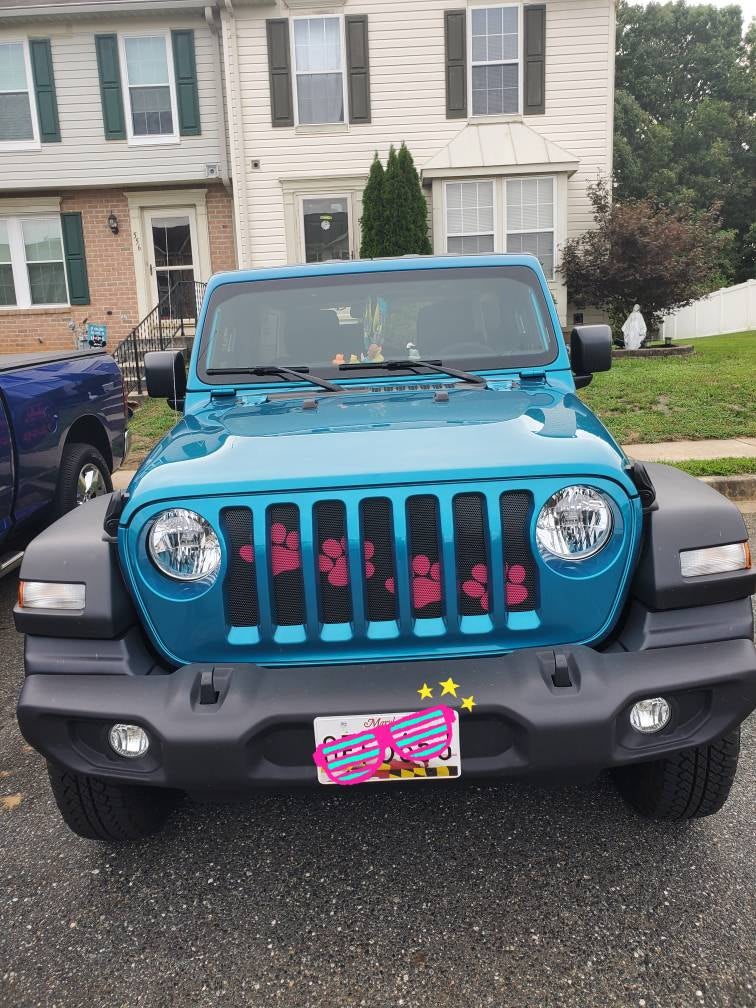 Puppy Paw Prints Pink Diagonal Grille Insert