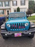 Platinum Puppy Paw Prints - Pink Diagonal Grille Insert