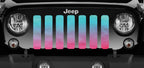 Pink and Teal Grille Insert