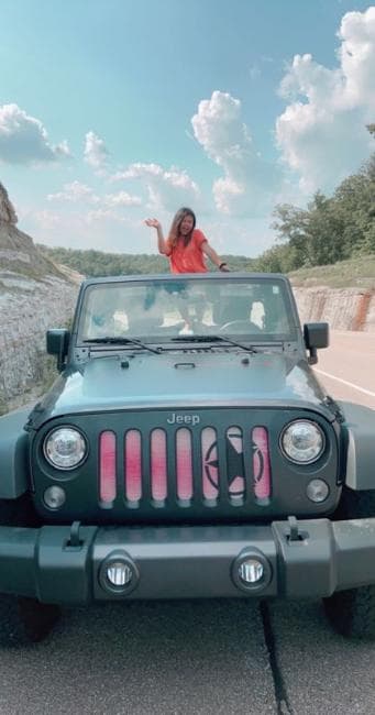 Oscar Mike Pink Ombre Grille Insert