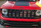 Dirty Grace Grille Insert