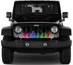 Rainbow Flames Grille Insert