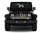 Rainbow Grunge American Flag Grille Insert