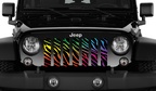 Platinum Rainbow Zebra Print Grille Insert
