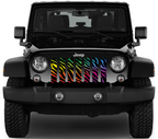 Rainbow Zebra Print Grille Insert