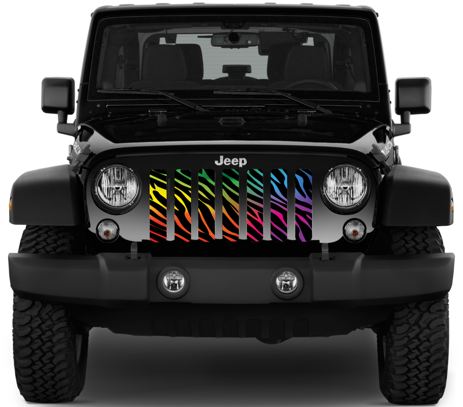 Platinum Rainbow Zebra Print Grille Insert