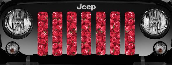 Raspberry Fields Grille Insert