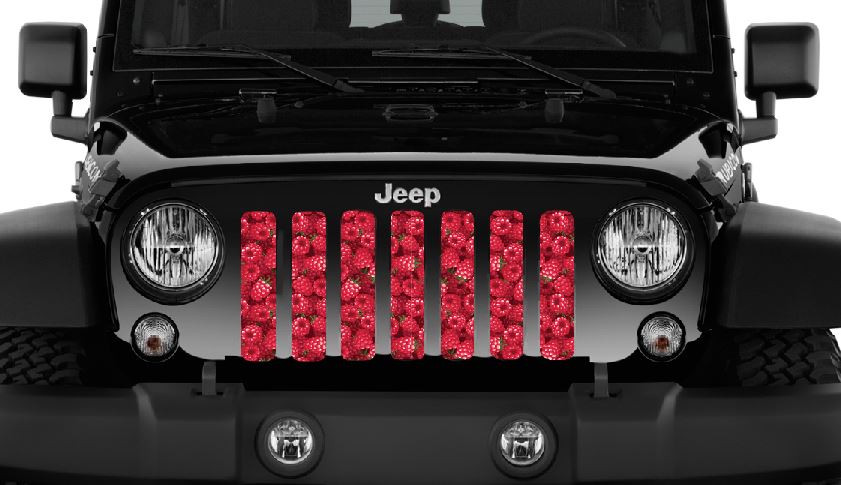Raspberry Fields Grille Insert