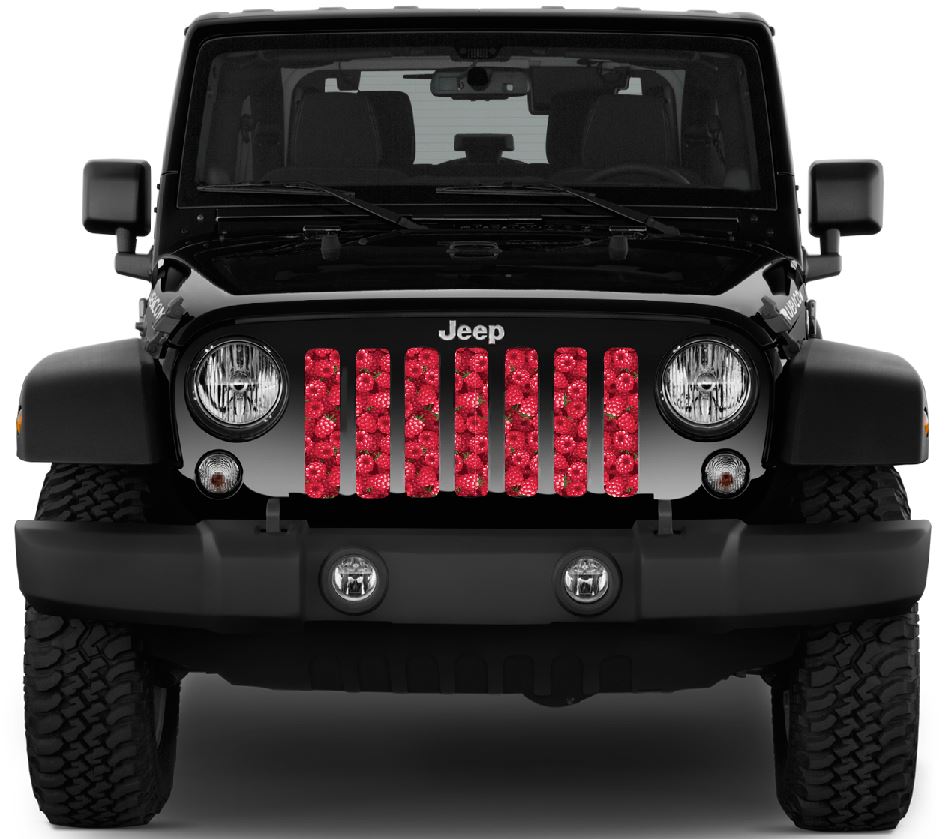 Raspberry Fields Grille Insert