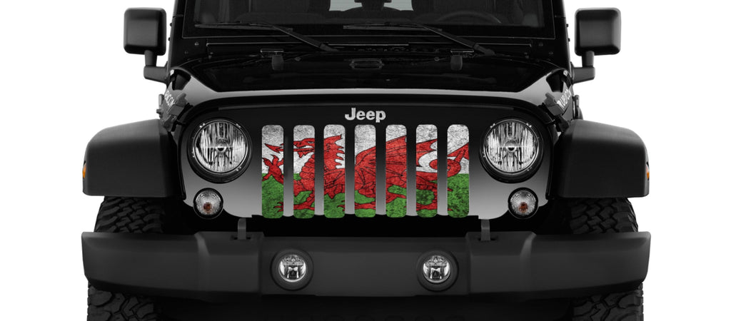 Rustic Welsh Dragon Flag Grille Insert