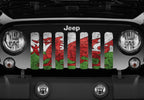 Rustic Welsh Dragon Flag Grille Insert