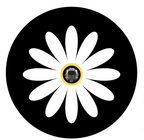 Simple & Plain Daisy Flower Spare Tire Cover