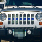 Colorado Tactical Back the Blue Grille Insert
