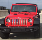 Old Glory Grille Insert