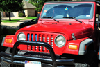 Old Glory Grille Insert