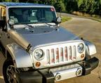 Sweet Home Alabama - State Flag Grille Insert
