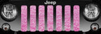 Baby Pink Storm Grille Insert