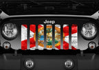 Florida Grunge State Flag Grille Insert