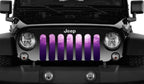 Ladies Night Purple & Pink Ombre Grille Insert