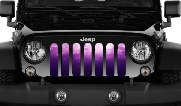 Ladies Night Purple & Pink Ombre Grille Insert