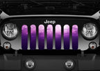 Ladies Night Purple & Pink Ombre Grille Insert
