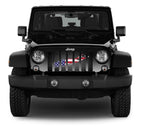 Long Island Old Glory Grille Insert