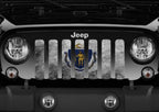 Massachusetts Grunge State Flag Grille Insert