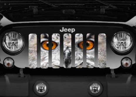 Night Owl Grille Insert