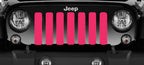 Solid Bright Pink Grille Insert