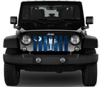 South Carolina Grunge State Flag Grille Insert