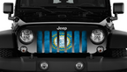 South Dakota Grunge State Flag Grille Insert