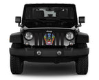 Sugar Skull Rainbow Grille Insert
