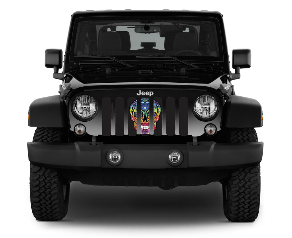 Platinum Sugar Skull Rainbow Grille Insert