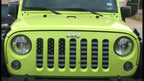Platinum American Tactical Grille Insert