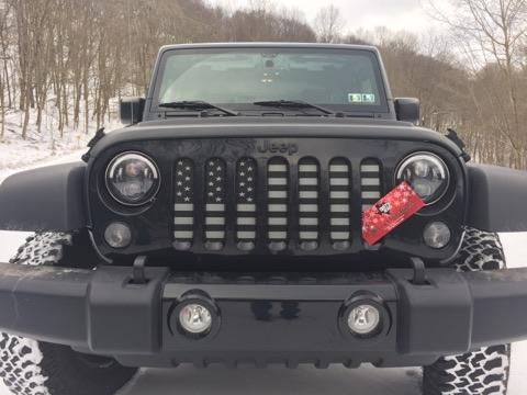 Platinum American Tactical Grille Insert