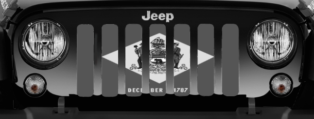 Delaware Tactical State Flag Grille Insert