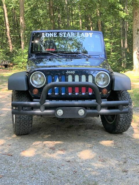 Texas State Flag Grille Insert