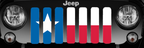 Texas State Flag Grille Insert