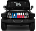 Texas State Flag Grille Insert