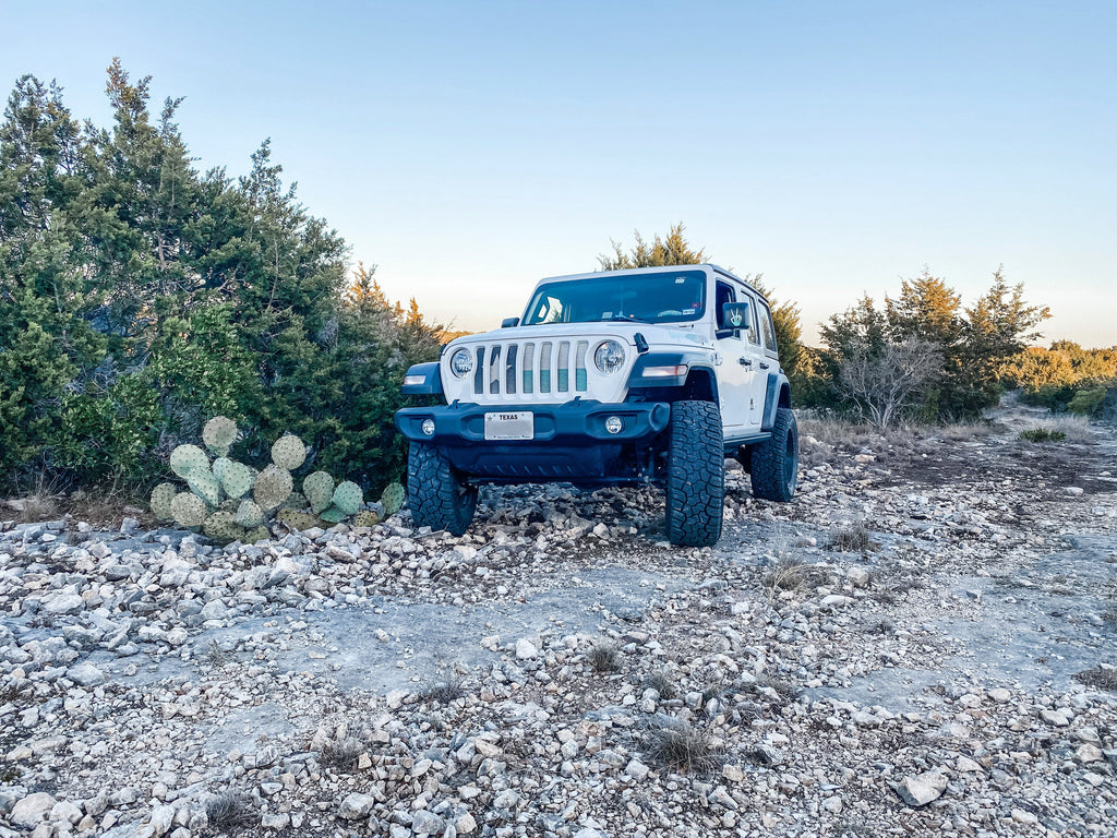 Texas Teal State Flag Grille Insert