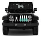Texas Teal State Flag Grille Insert