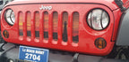 Through the Darkness Grille Insert