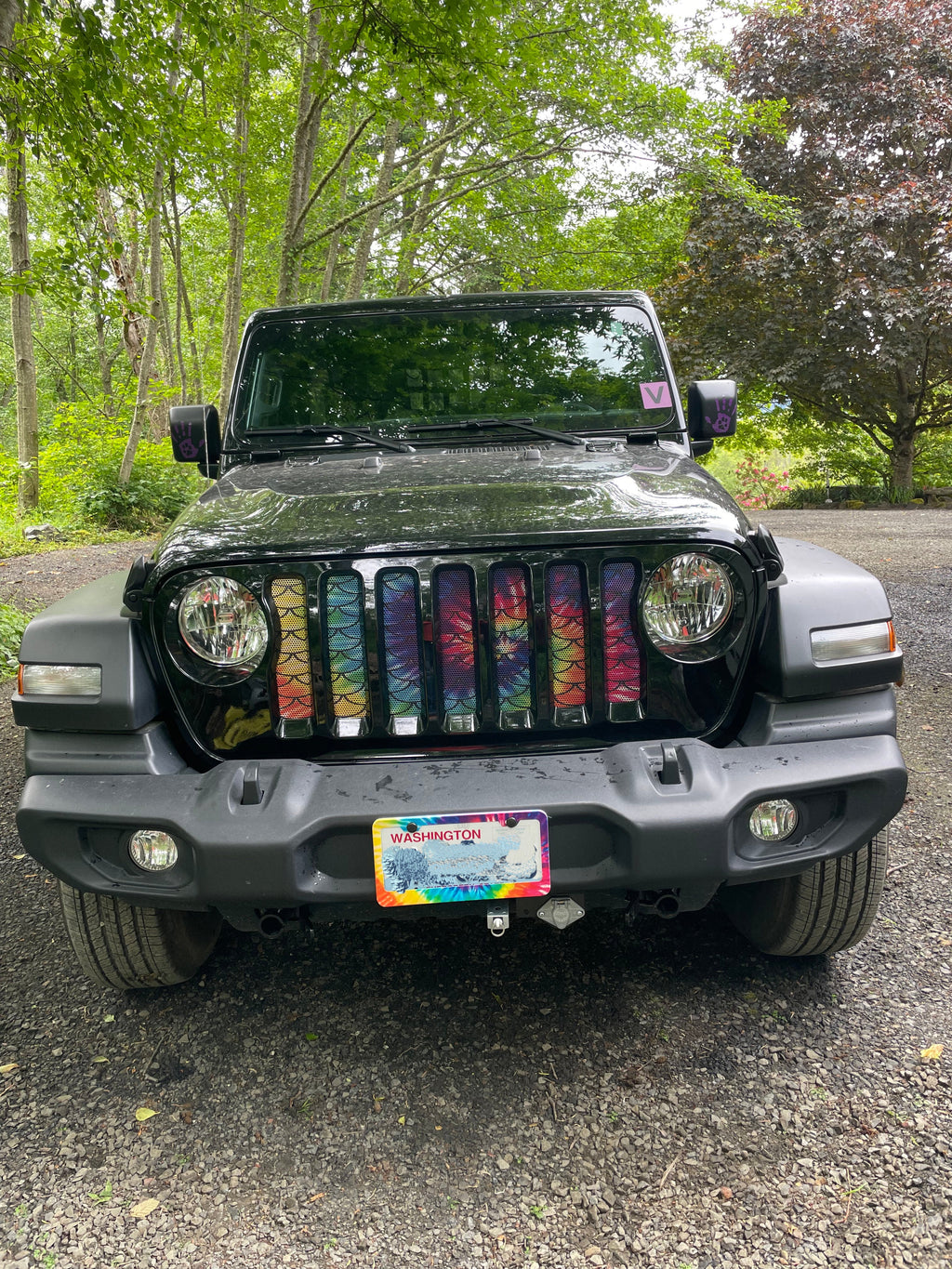 Mermaid Scales Tie Dye Grille Insert