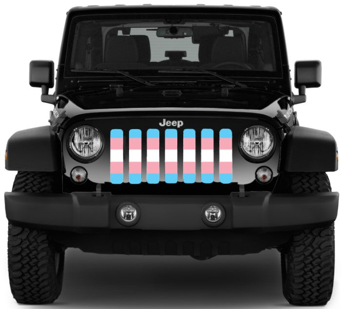 Transgender Flag Grille Insert